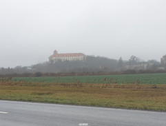 12. Ve víně je pravda