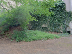 Pod hradbami