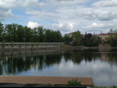 10. Ratolesti