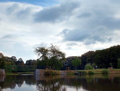 Ranní běh