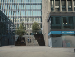 Veterinární klinika