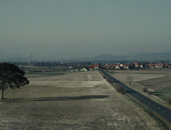 Osamělá borovice