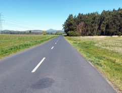 Podél lesa