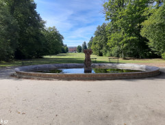 Záhada zlatého servisu