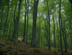 Záhada strašidelného zámku