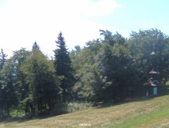 11. Smrt aktivisty