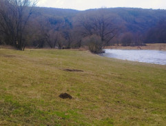 S01E03 Výhodný obchod