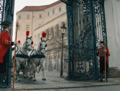 Koňské spřežení