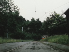 Sedmička