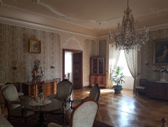 salónik u grófky Bricínovej