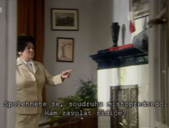 Poslední princezna