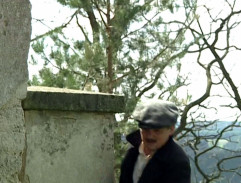 2. Volavka