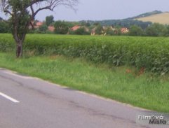 silnice před odbočkou na Blažovice