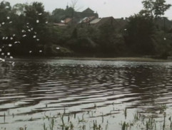 Vysoká modrá zeď