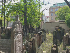 Setkání v Praze