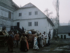Dům