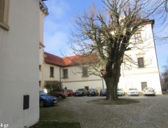 V parku