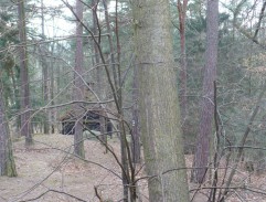 Poustevník v lese