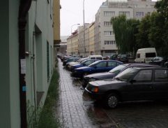 Punťa a čtyřlístek