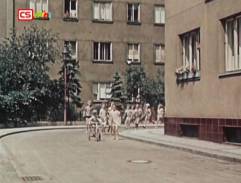 Punťa a čtyřlístek