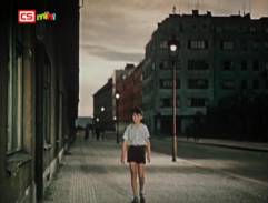 Punťa a čtyřlístek