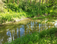 Člověk proti zkáze