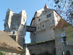 Trubači