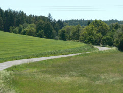 cesta