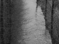 Pohled z lokomotivy II.