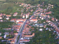 Vinobraní