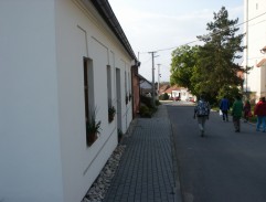 Vinobraní