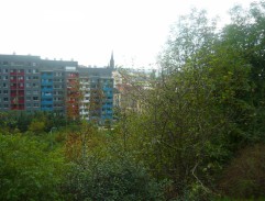 Žižkov