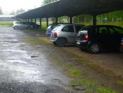 Čekání na Patrika