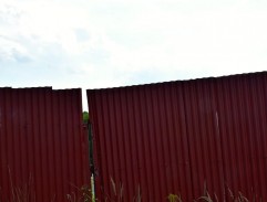 Čekání na Patrika