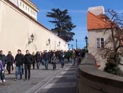 Cesta uličkou
