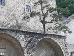 Zbrojnoši
