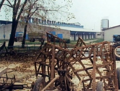 Družstvo