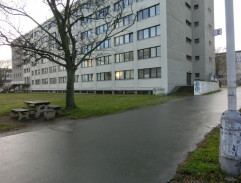 Hledání