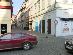 30. Růže pro Zemana