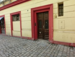 30. Růže pro Zemana