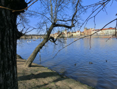 14. Konec velké šance