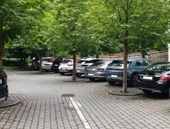 19. Třetí housle