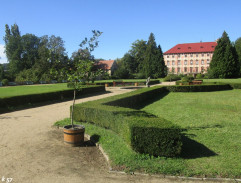 16. Dáma s erbem