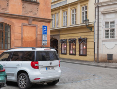 16. Dáma s erbem
