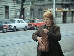 21. Pán ze Salcburku