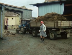 Družstvo v Plánici