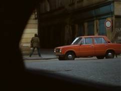 30. Růže pro Zemana