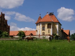 lúka pri veľkostatku 5