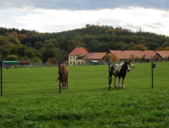 lúka pri veľkostatku 4