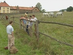 lúka pri veľkostatku 3